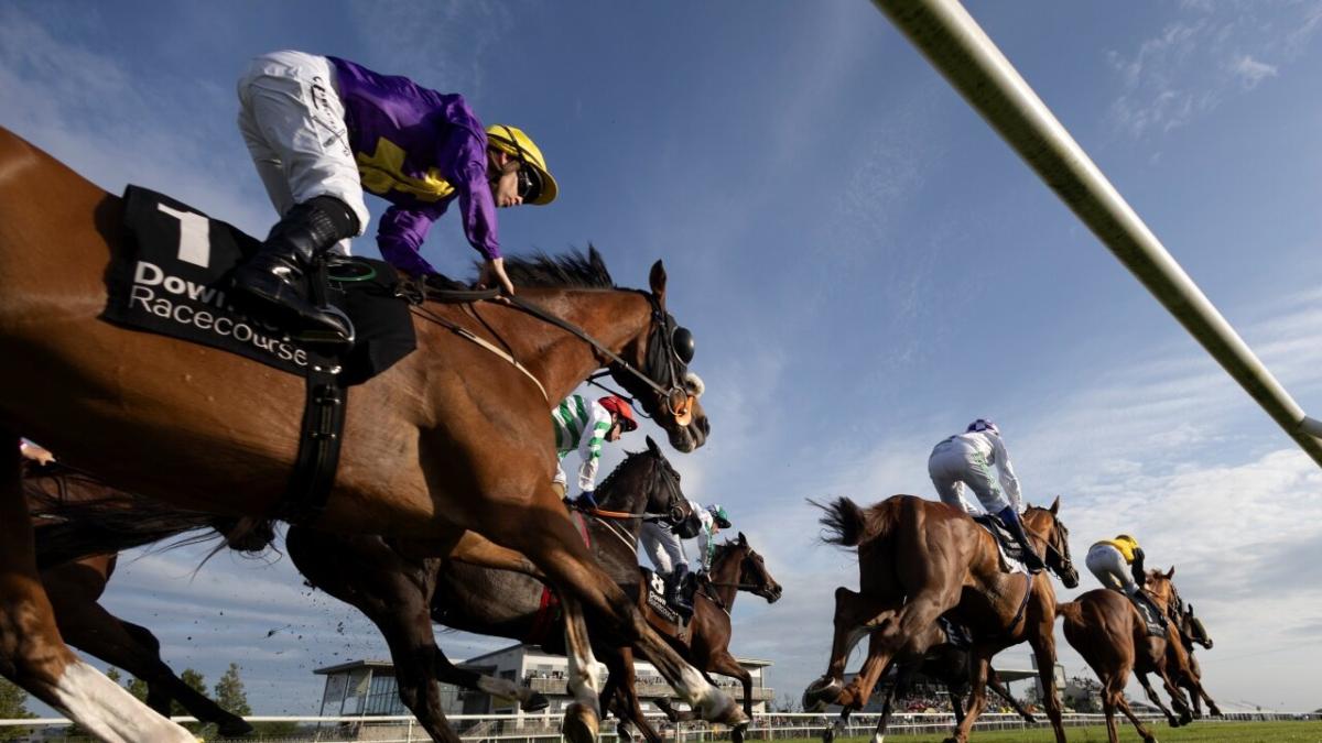 Down Royal Racecourse